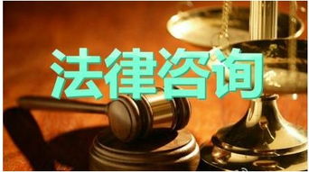 天津專業執行律師與法律咨詢服務全解析