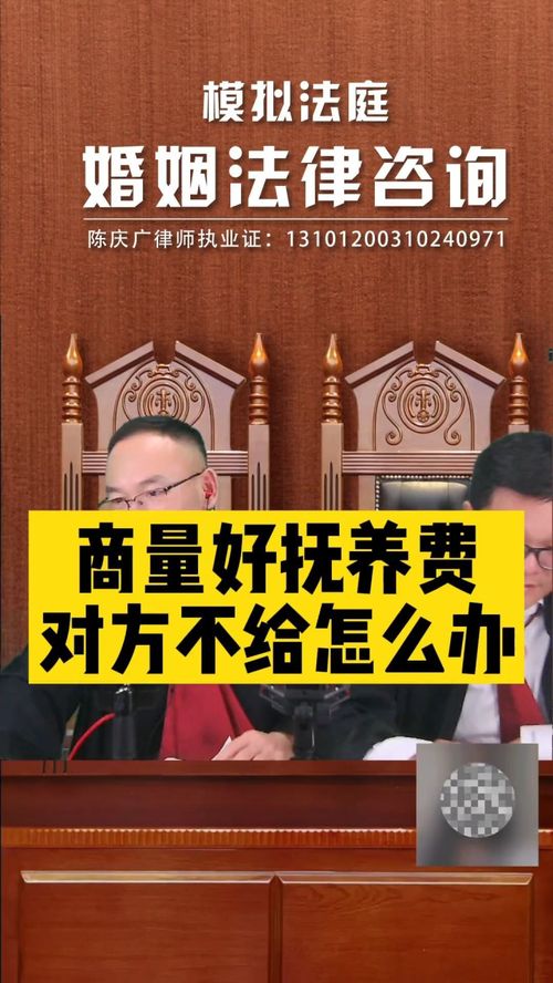 撫養(yǎng)費(fèi)協(xié)商后對(duì)方拒不支付，法律途徑如何維權(quán)？